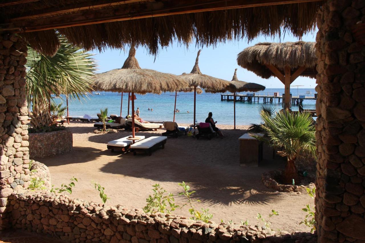 Sunshine Divers Club - Il Porto Sharm el-Sheikh Luaran gambar