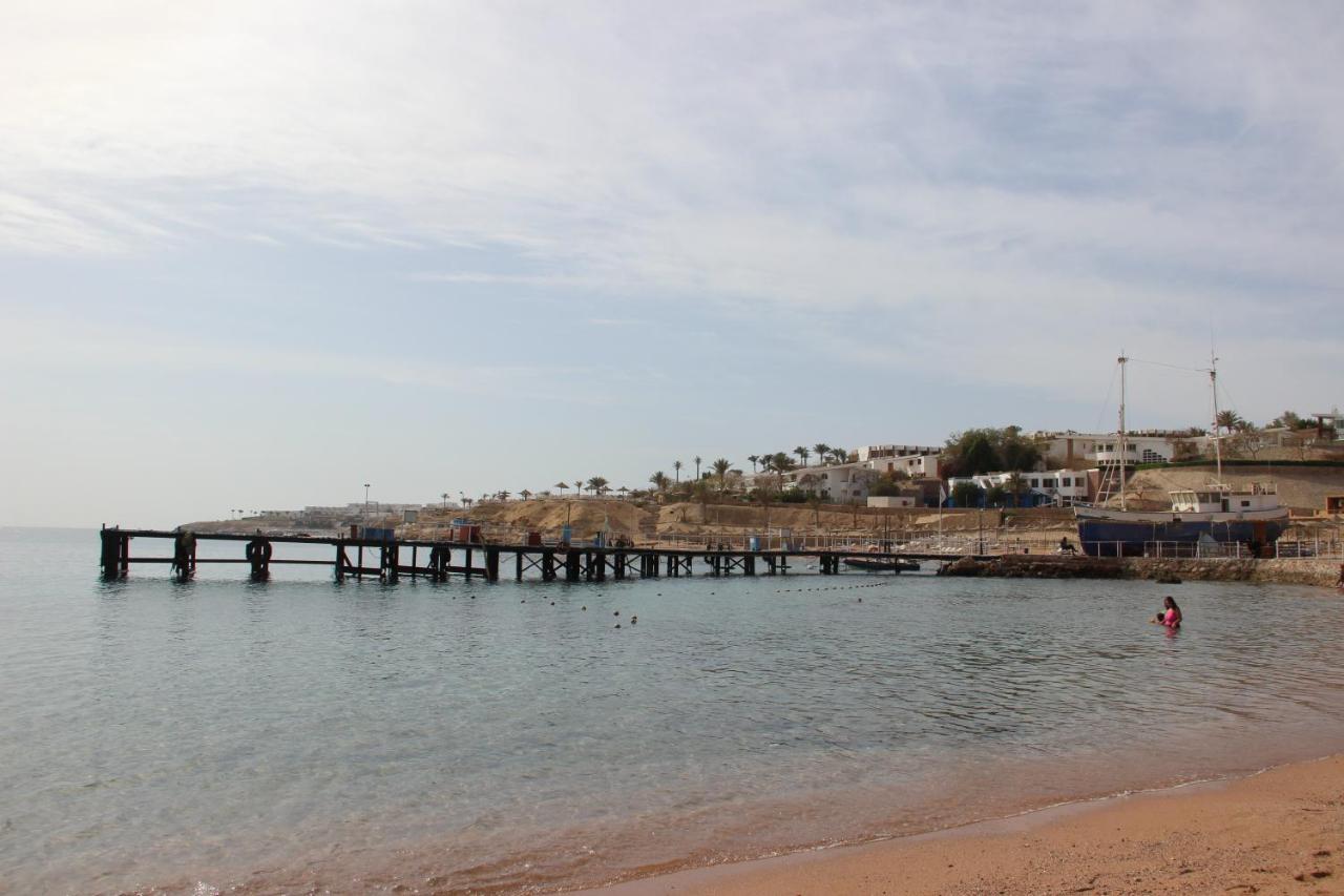 Sunshine Divers Club - Il Porto Sharm el-Sheikh Luaran gambar